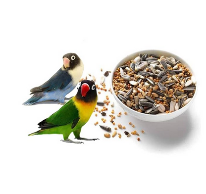 Cockatiel And African Love Birds Seed Mix 1Kg, 1 Count