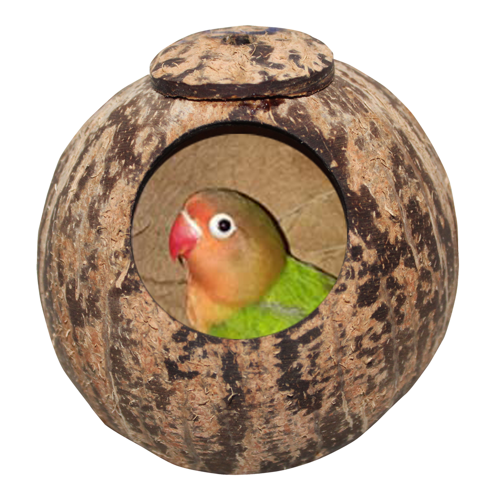 Coconut Shell Bird Nest for Finches and Sparrows